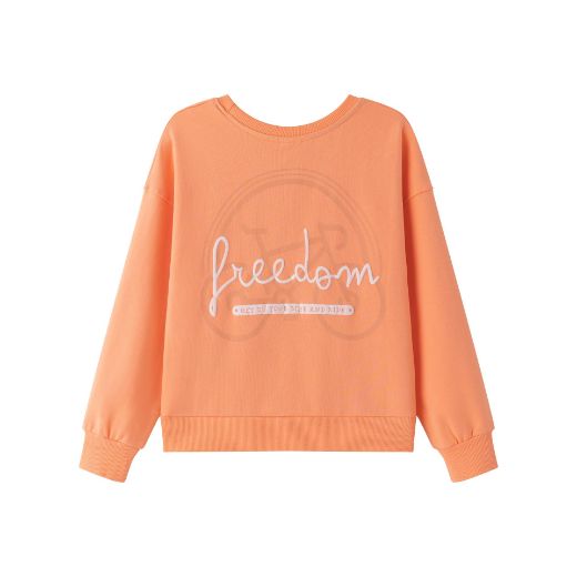 Picture of BOY'S SWEATSHIRT 