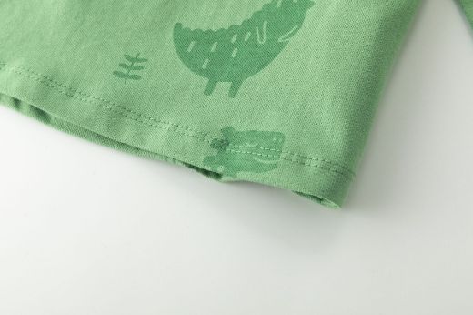 Picture of T-shirt