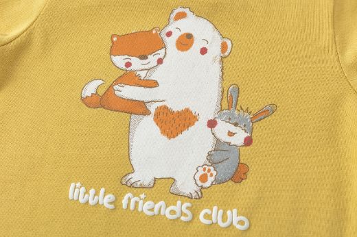 Picture of T-shirt