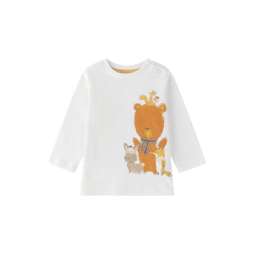 Picture of T-shirt
