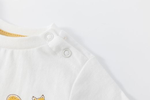 Picture of T-shirt
