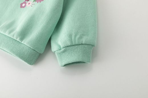 Picture of Sweatshirt