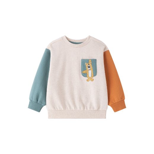 Picture of Sweatshirt