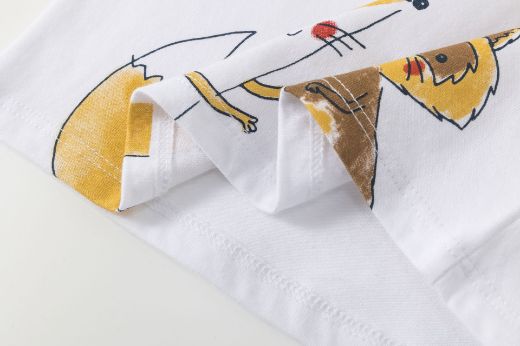 Picture of T-shirt