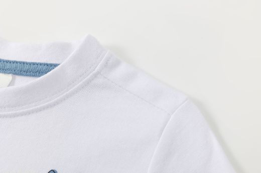 Picture of T-shirt