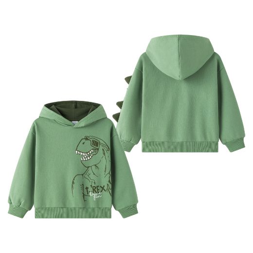 Picture of Sweatshirt