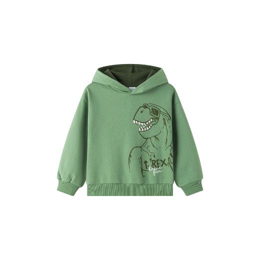 Picture of Sweatshirt