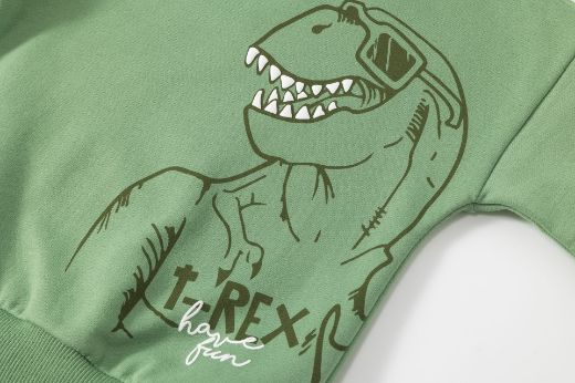 Picture of Sweatshirt