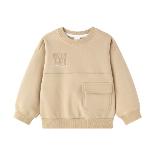 Picture of Sweatshirt