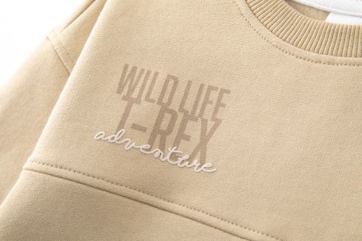 Picture of Sweatshirt