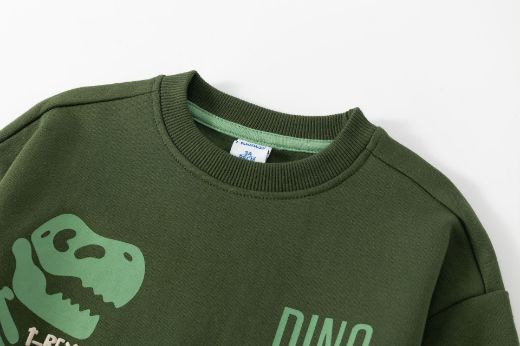 Picture of Sweatshirt