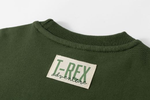 Picture of Sweatshirt