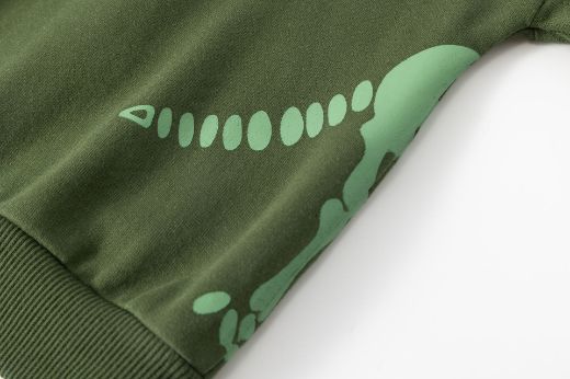 Picture of Sweatshirt
