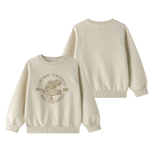 Picture of Sweatshirt