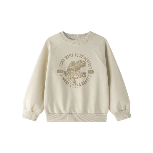 Picture of Sweatshirt