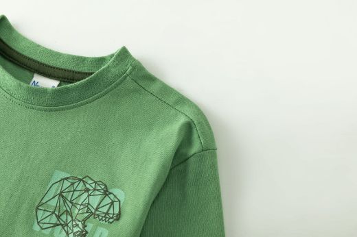 Picture of T-shirt