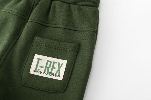 Picture of Pants