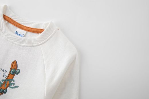 Picture of Sweatshirt