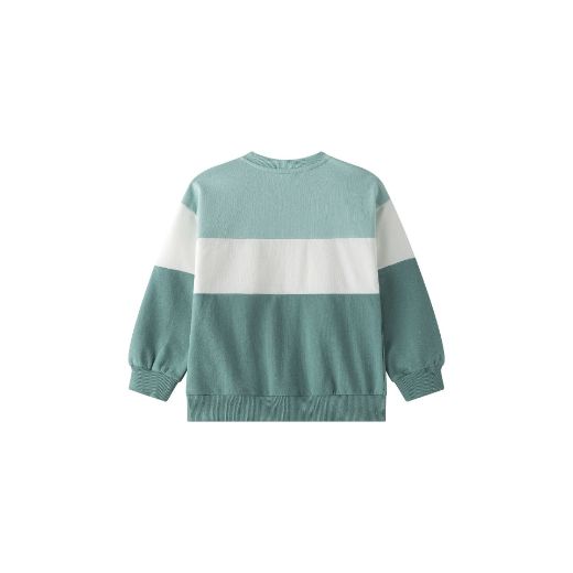 Picture of Sweatshirt