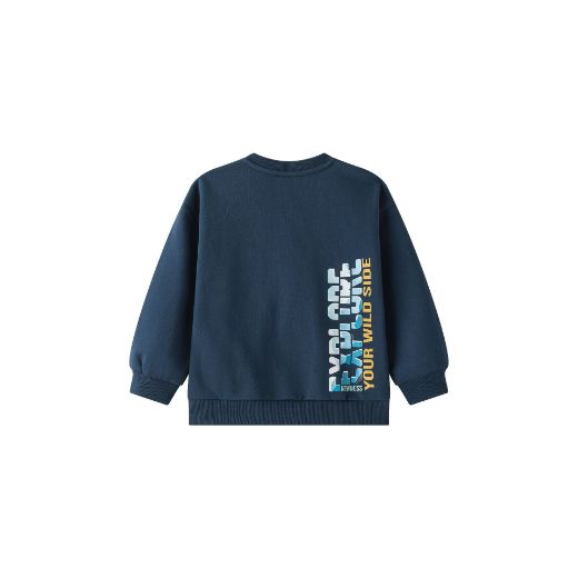 Picture of Sweatshirt