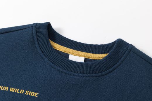 Picture of Sweatshirt