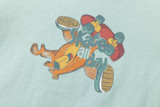 Picture of T-shirt
