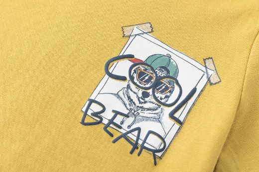 Picture of T-shirt