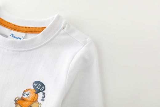 Picture of T-shirt