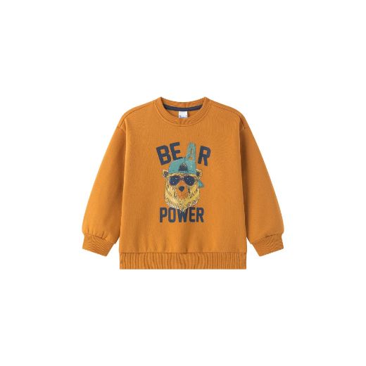 Picture of Sweatshirt