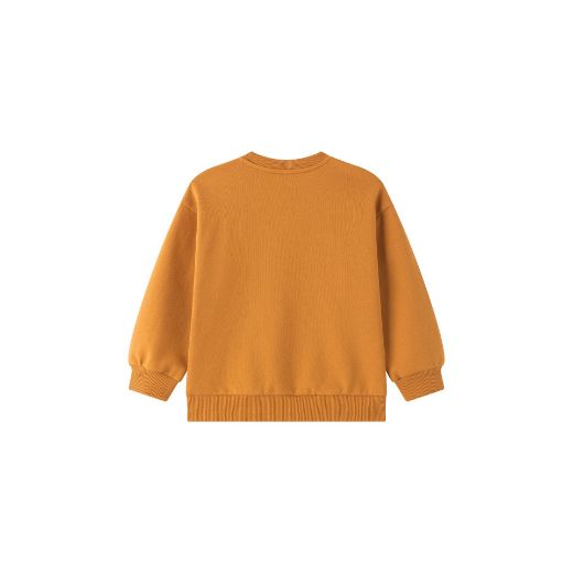Picture of Sweatshirt