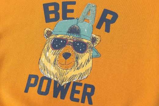 Picture of Sweatshirt