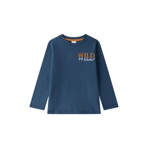 Picture of T-shirt