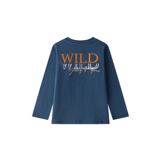 Picture of T-shirt