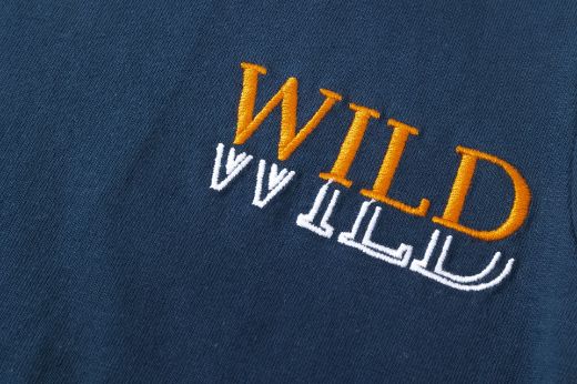 Picture of T-shirt