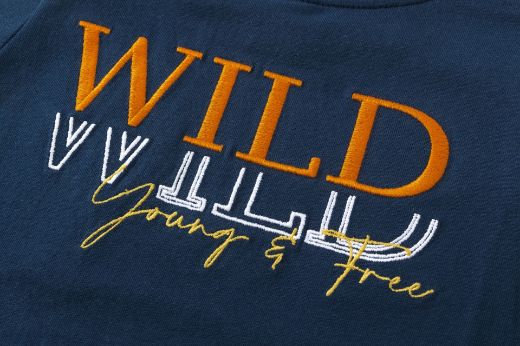 Picture of T-shirt