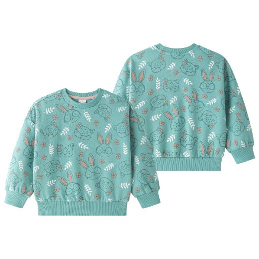 Picture of Sweatshirt