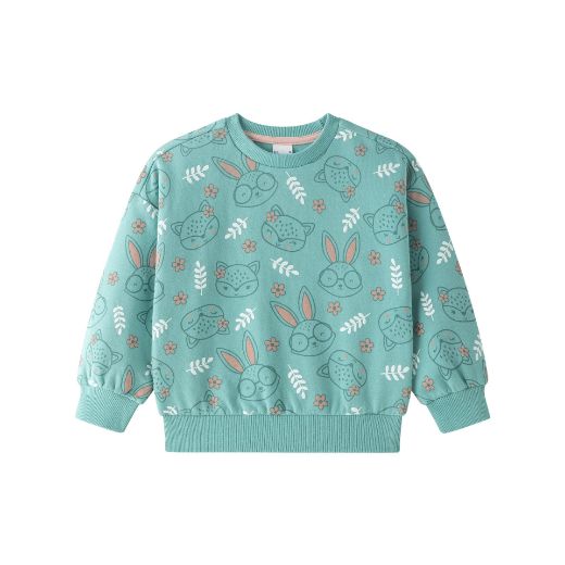 Picture of Sweatshirt