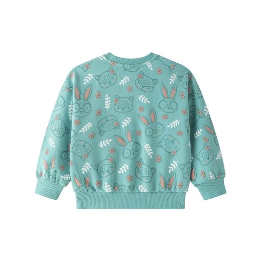 Picture of Sweatshirt