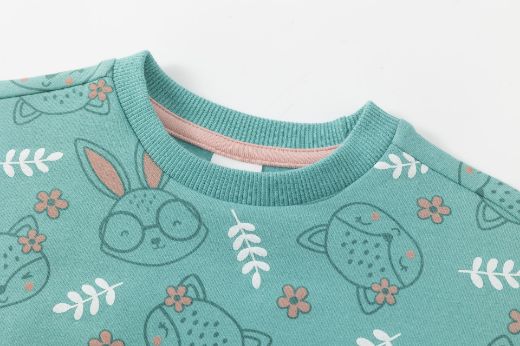 Picture of Sweatshirt