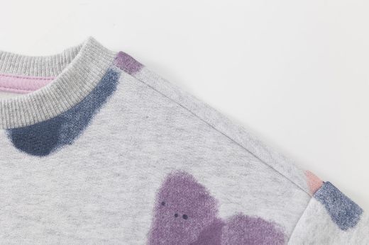 Picture of Sweatshirt