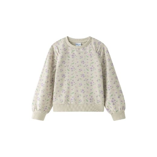 Picture of Sweatshirt
