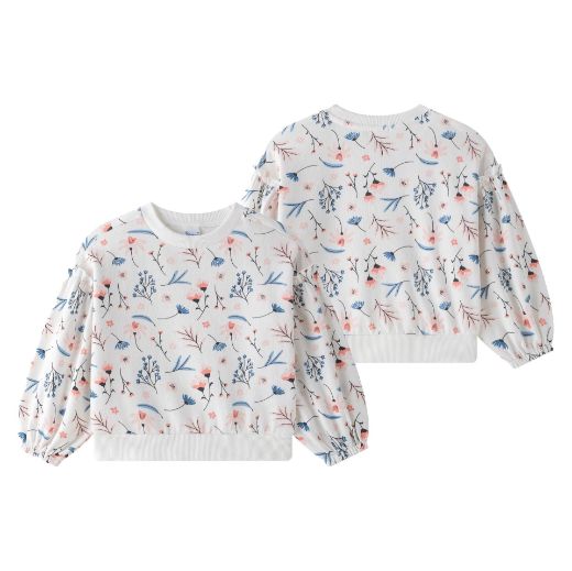 Picture of Sweatshirt