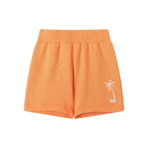 Picture of Bermuda shorts