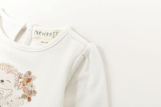Picture of T-shirt