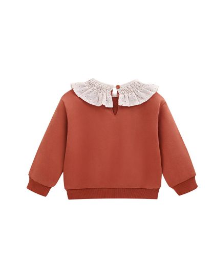 Picture of Sweatshirt