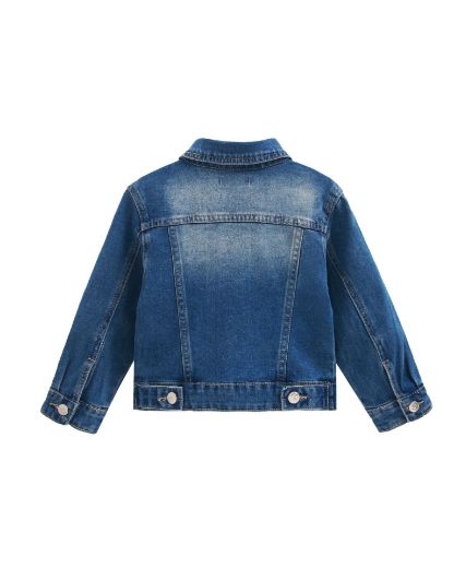 Picture of Jacket