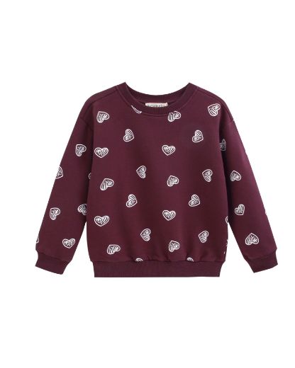 Picture of Sweatshirt