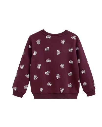 Picture of Sweatshirt