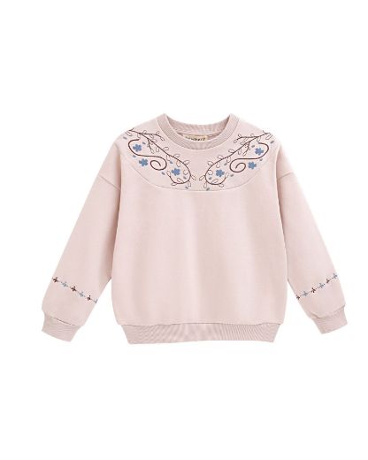Picture of Sweatshirt