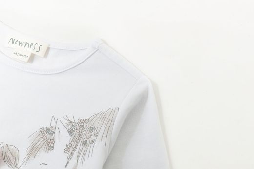 Picture of T-shirt